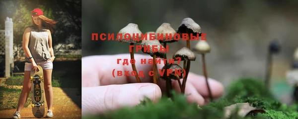 дживик Богородск