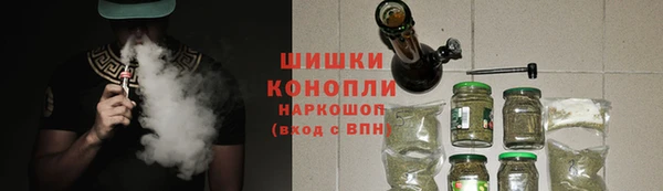 дживик Богородск