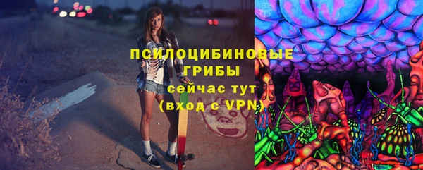 ГАЛЛЮЦИНОГЕННЫЕ ГРИБЫ Белоозёрский