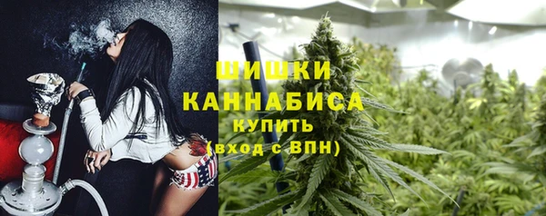 ГАЛЛЮЦИНОГЕННЫЕ ГРИБЫ Белоозёрский