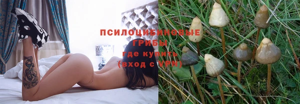 ГАЛЛЮЦИНОГЕННЫЕ ГРИБЫ Белоозёрский