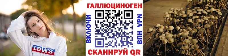 купить наркотики цена  Бобров  Псилоцибиновые грибы Magic Shrooms 